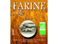 Farine de blé - T80 - 3 kg
